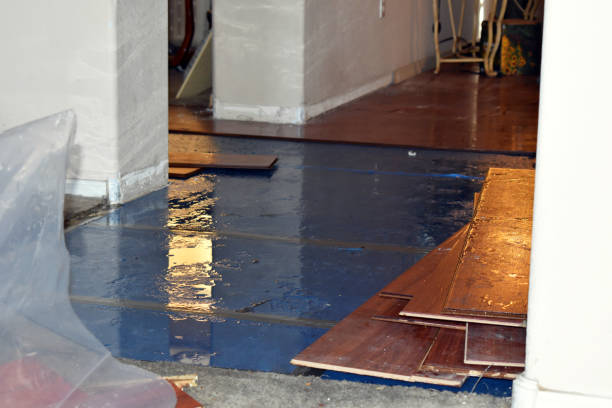 Professional Water Extraction technician working in Luther, OK
